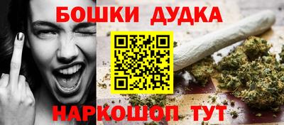 твердый Кингисепп