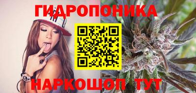 твердый Кингисепп