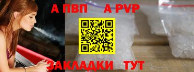 твердый Кингисепп