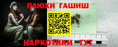 твердый Кингисепп